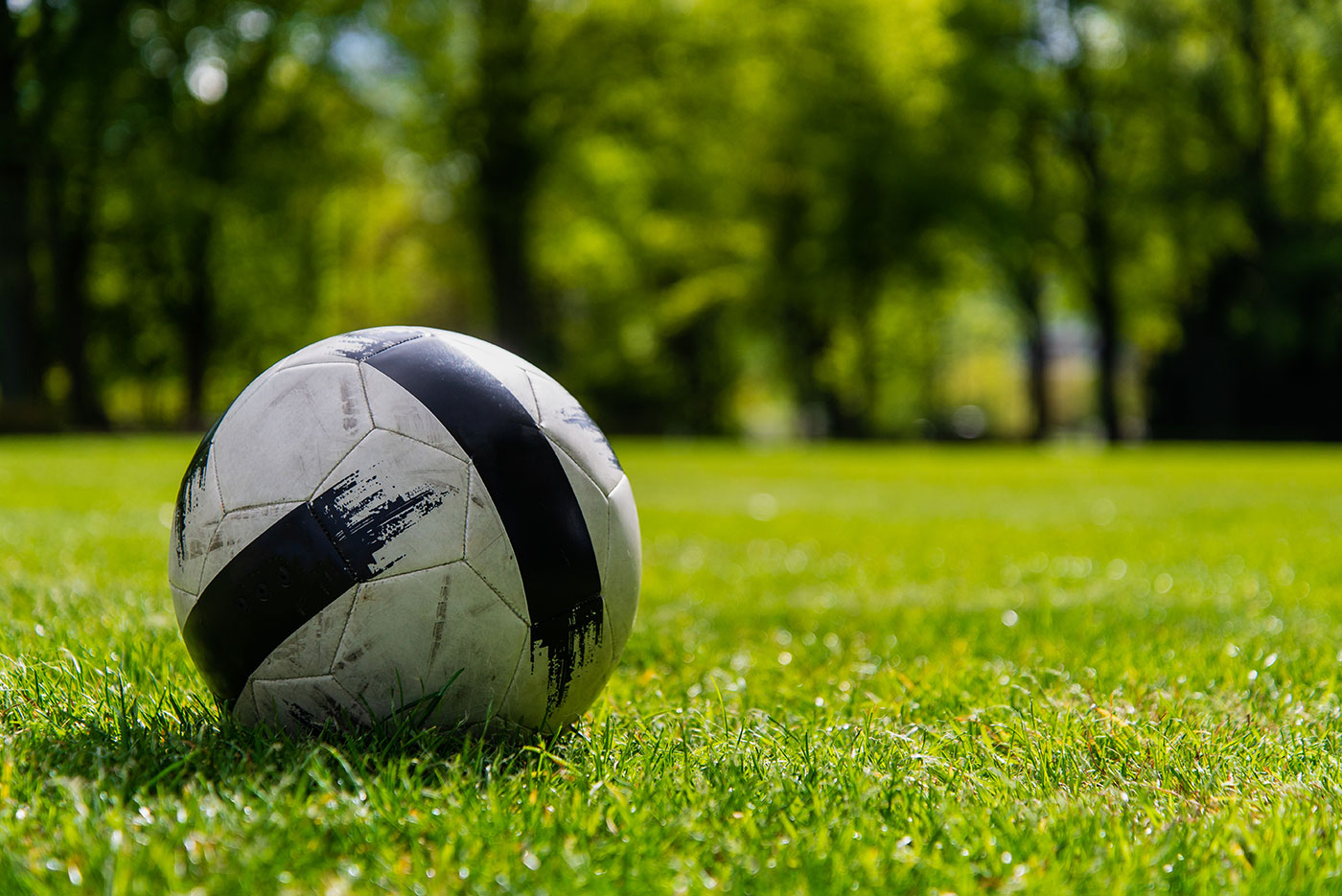 Soccer ball on green grass playground